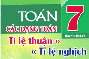 Các dạng toán về đại lượng tỉ lệ thuận, tỉ lệ nghịch và bài tập - Toán lớp 7